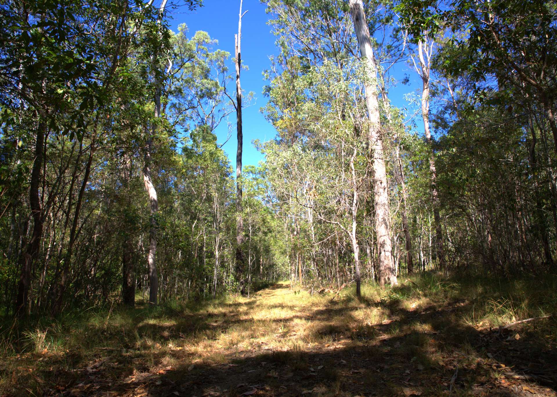 49 Arborfourteen Road, Glenwood For Sale by Farmbuy.com - image 23
