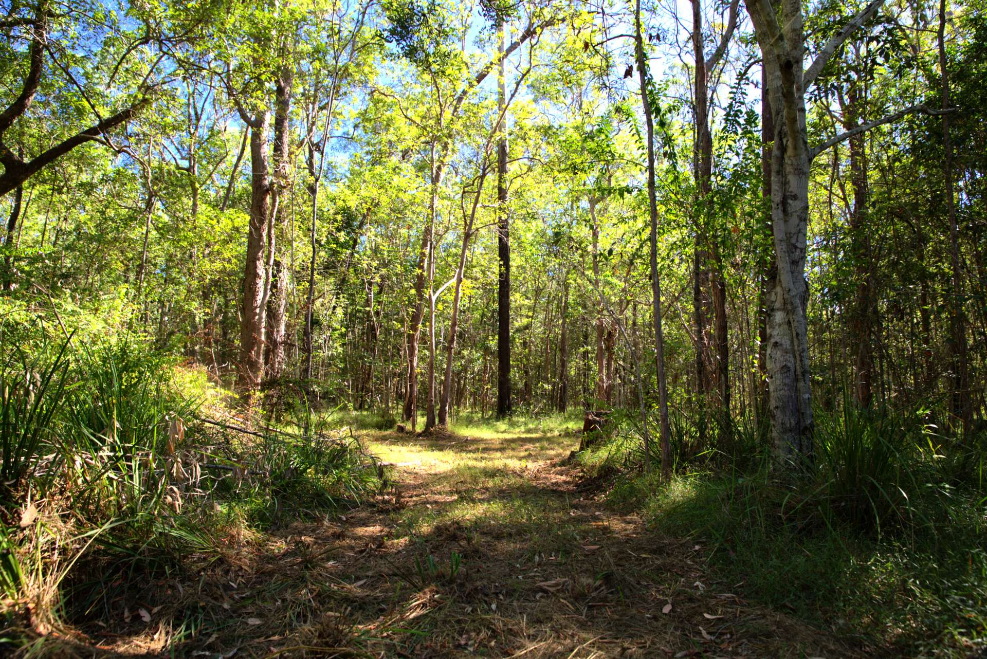 49 Arborfourteen Road, Glenwood For Sale by Farmbuy.com - image 25