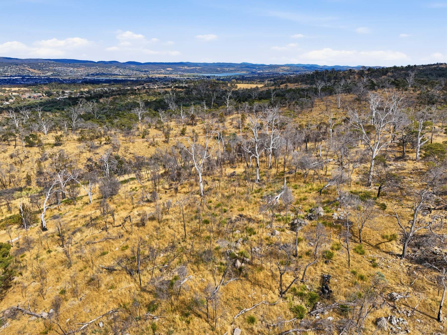75 Prossers Forest Road, Ravenswood For Sale by Farmbuy.com - image 29
