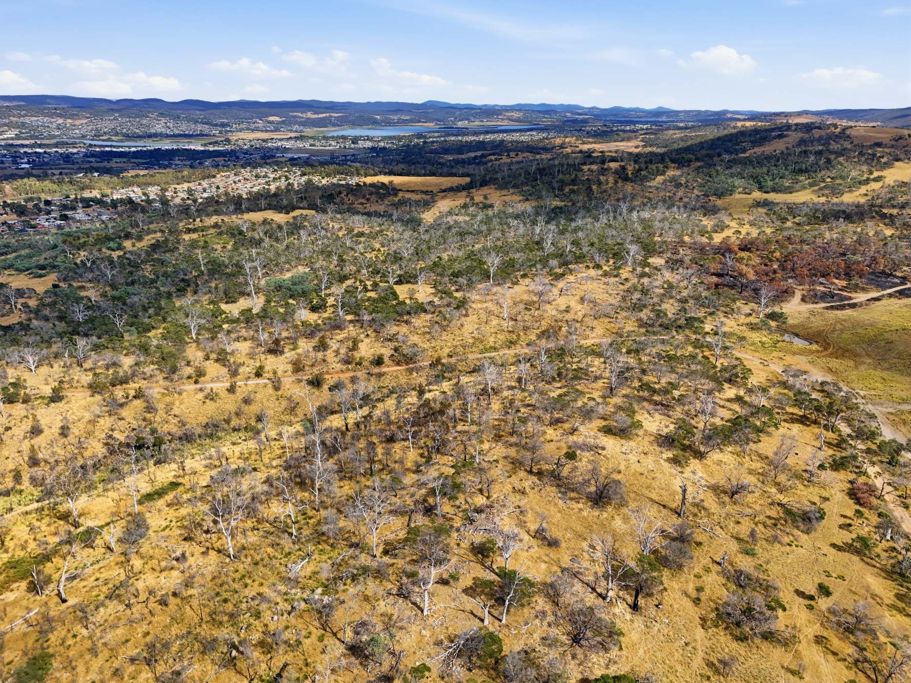 75 Prossers Forest Road, Ravenswood For Sale by Farmbuy.com - image 33