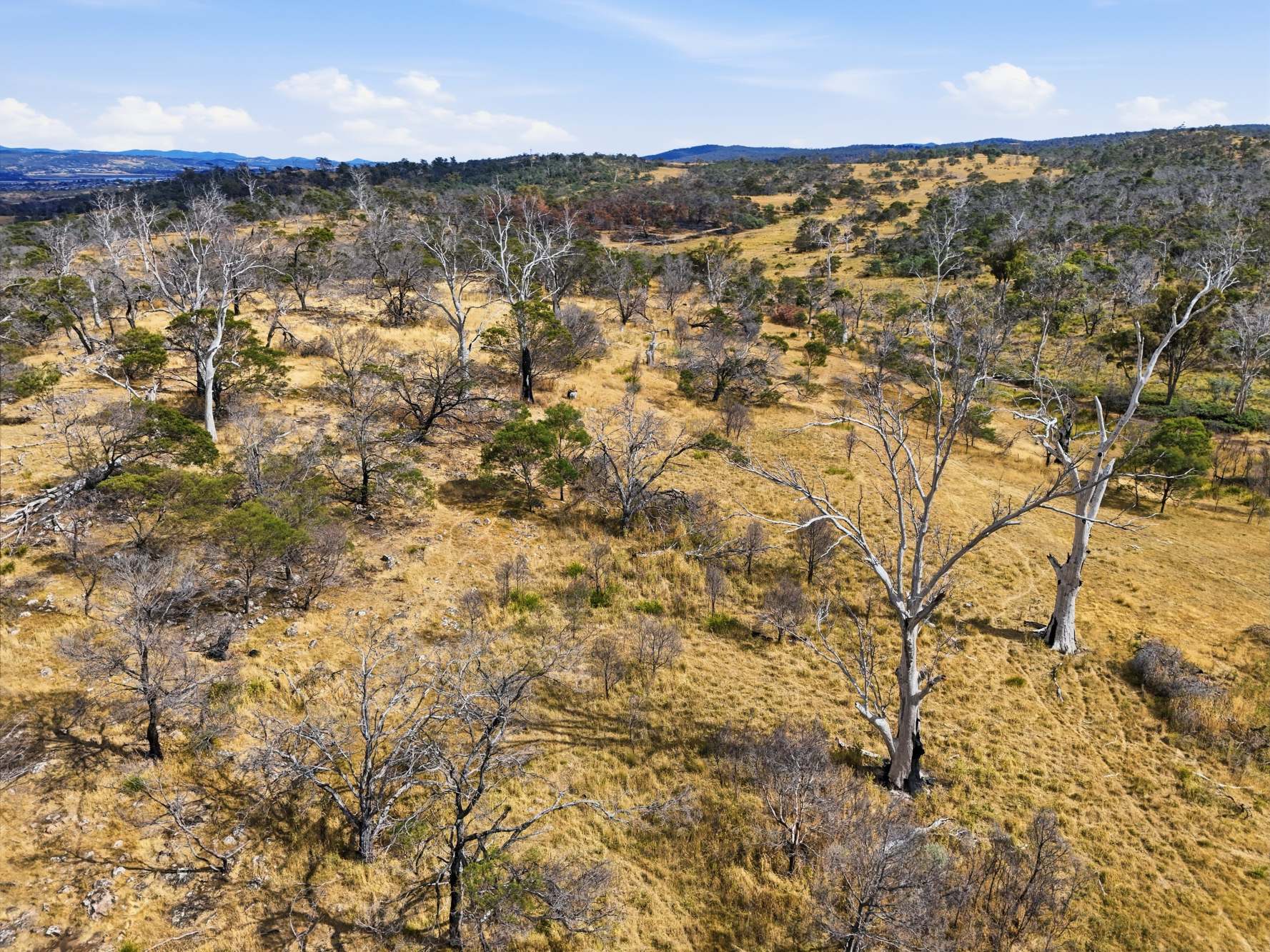 75 Prossers Forest Road, Ravenswood For Sale by Farmbuy.com - image 22
