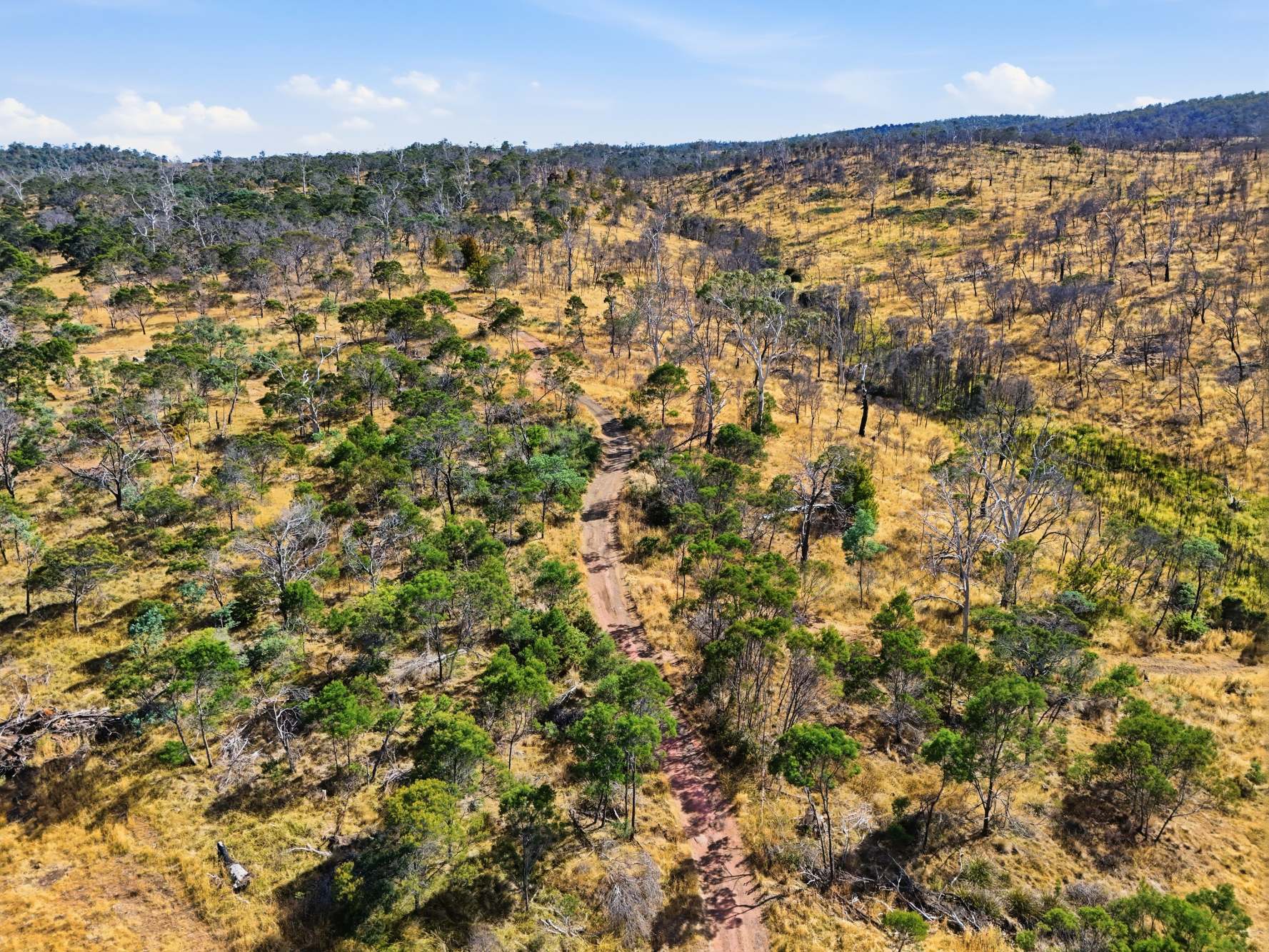 75 Prossers Forest Road, Ravenswood For Sale by Farmbuy.com - image 8