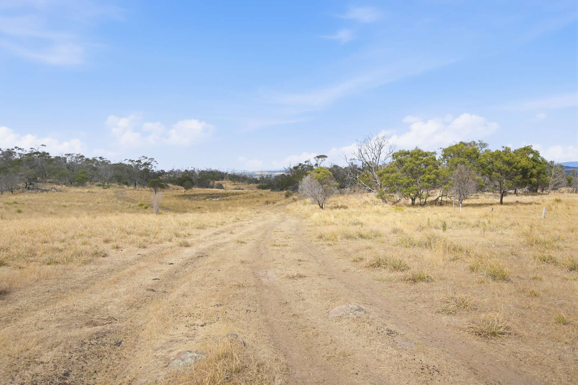 75 Prossers Forest Road, Ravenswood For Sale by Farmbuy.com - image 10