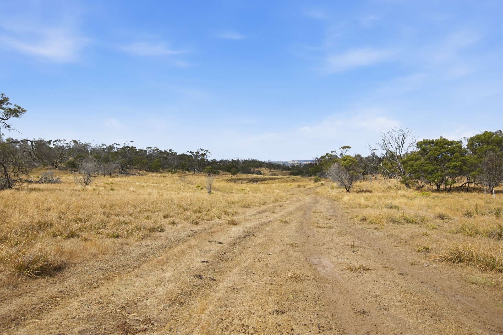 75 Prossers Forest Road, Ravenswood For Sale by Farmbuy.com - image 21