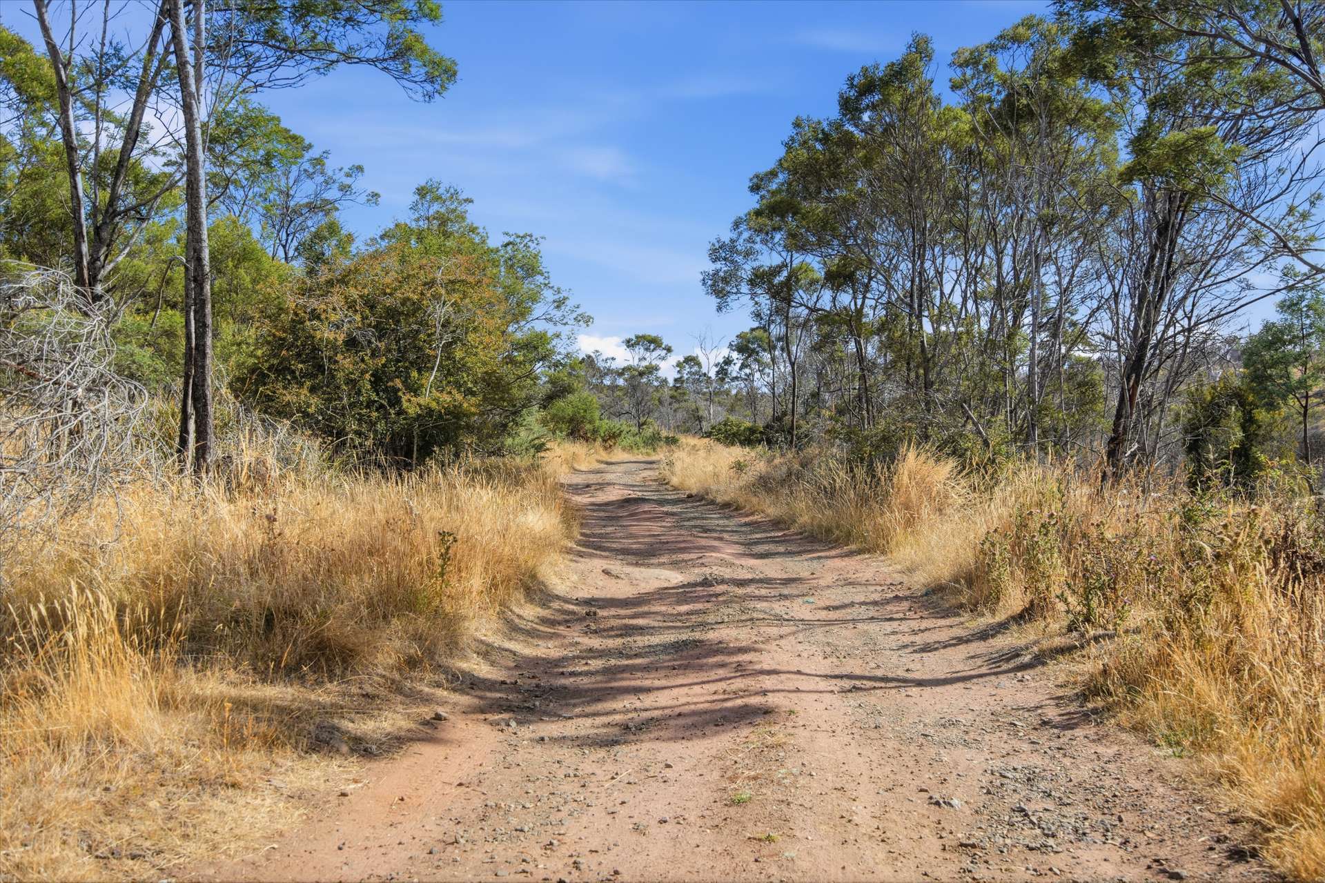 75 Prossers Forest Road, Ravenswood For Sale by Farmbuy.com - image 14