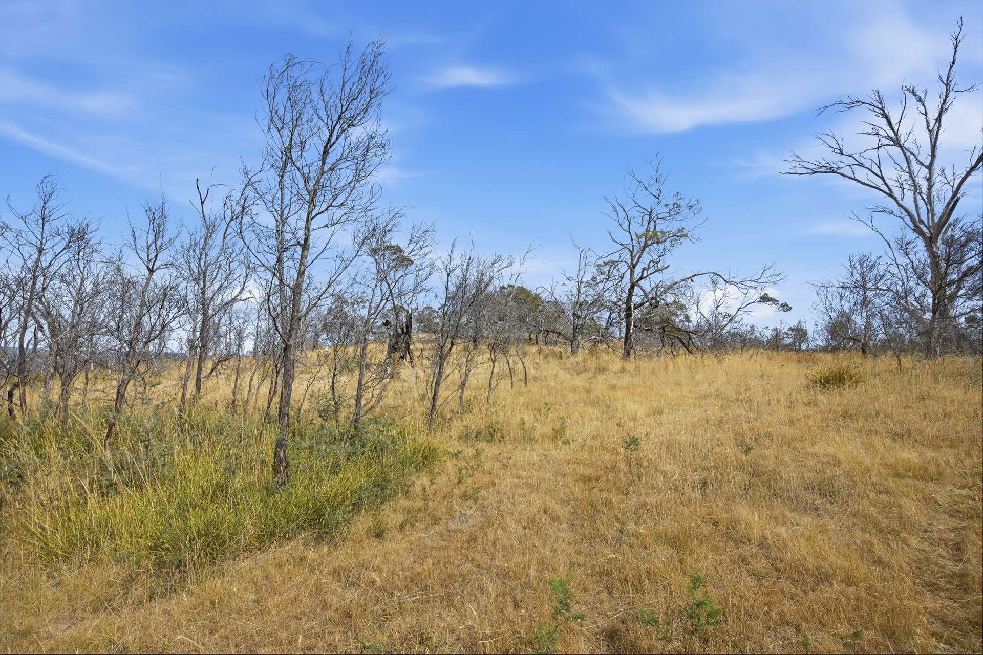 75 Prossers Forest Road, Ravenswood For Sale by Farmbuy.com - image 19