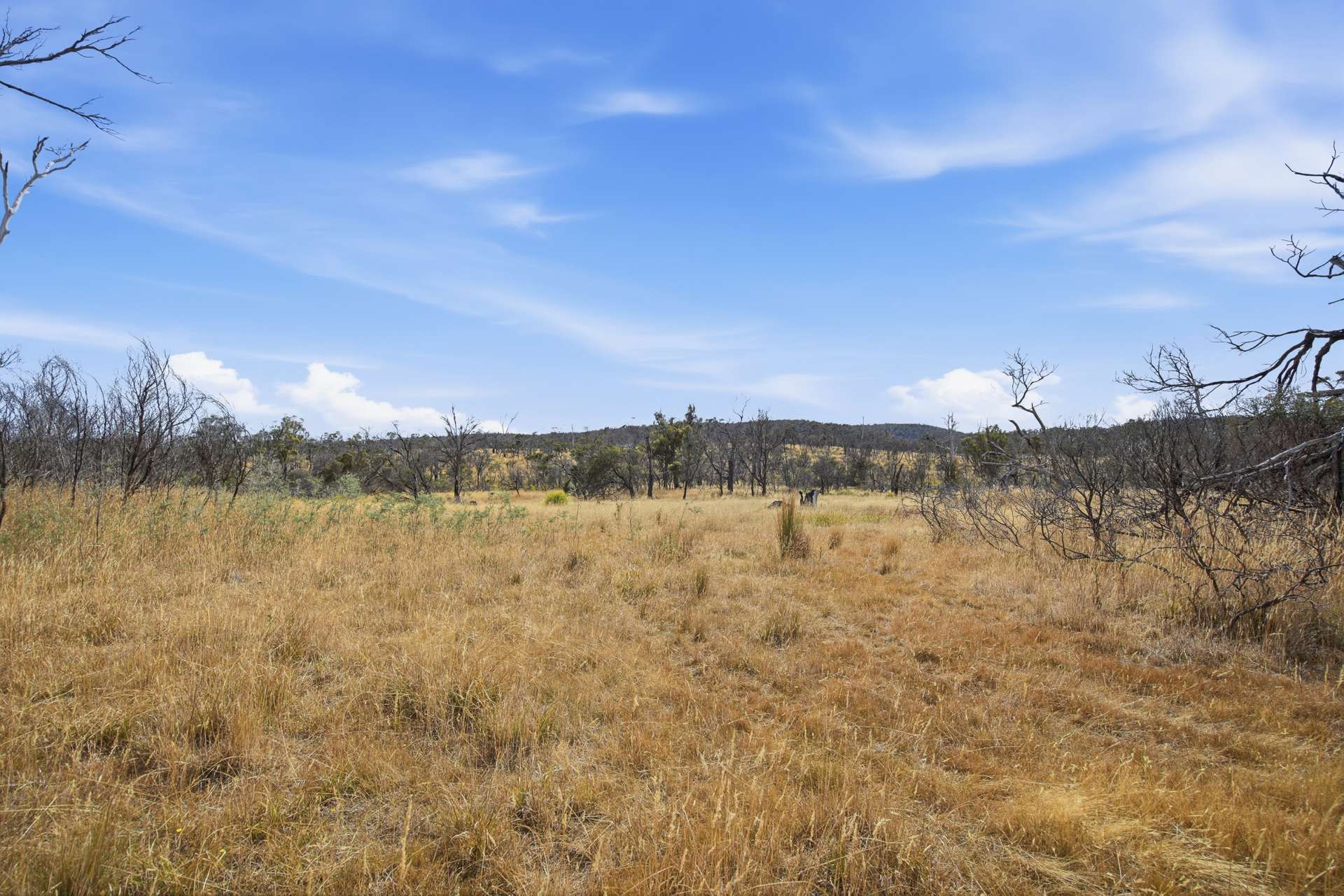 75 Prossers Forest Road, Ravenswood For Sale by Farmbuy.com - image 18