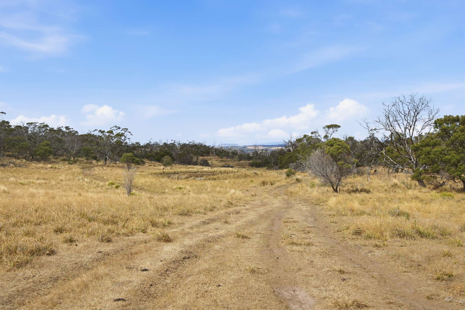 75 Prossers Forest Road, Ravenswood For Sale by Farmbuy.com - image 17