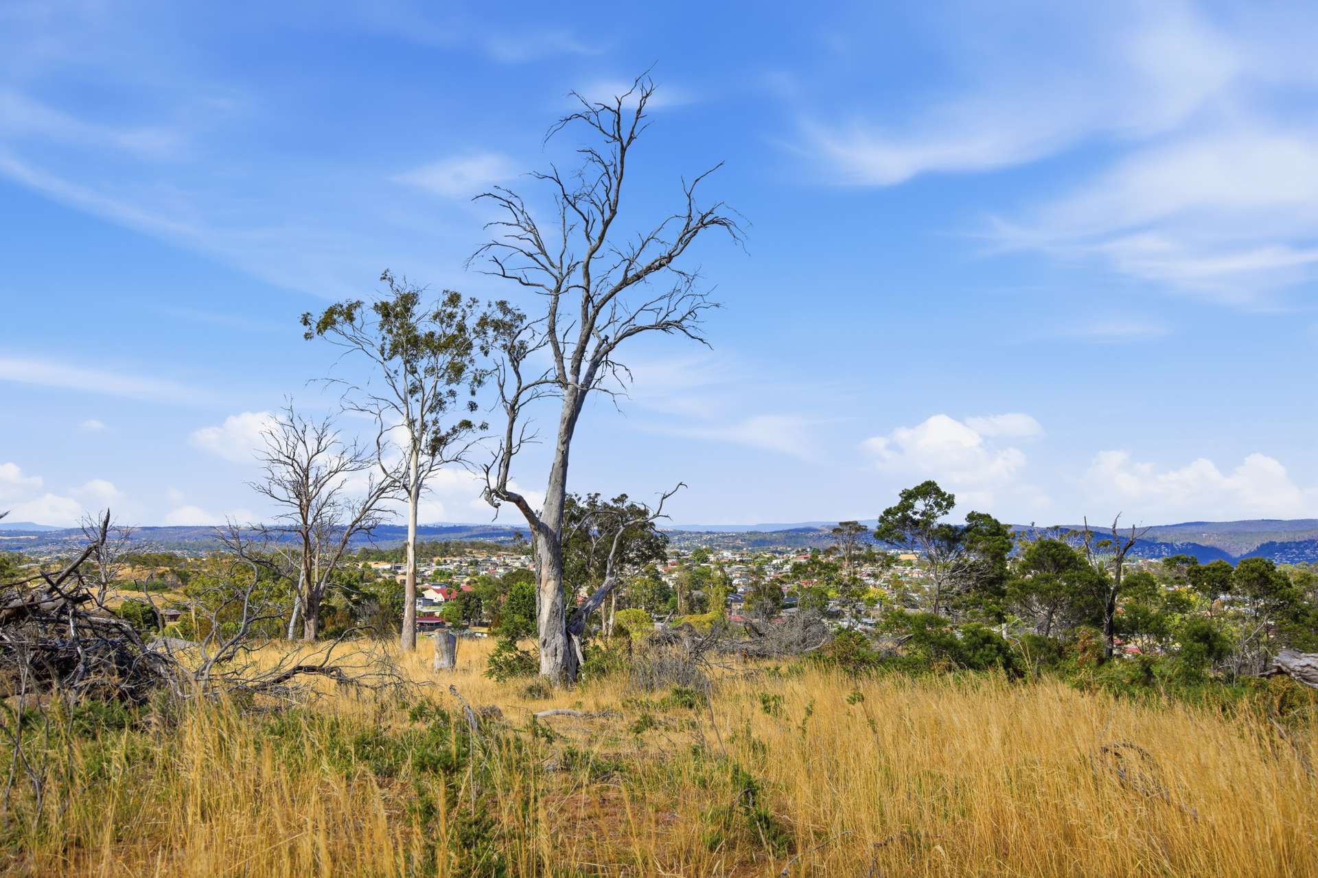 75 Prossers Forest Road, Ravenswood For Sale by Farmbuy.com - image 7