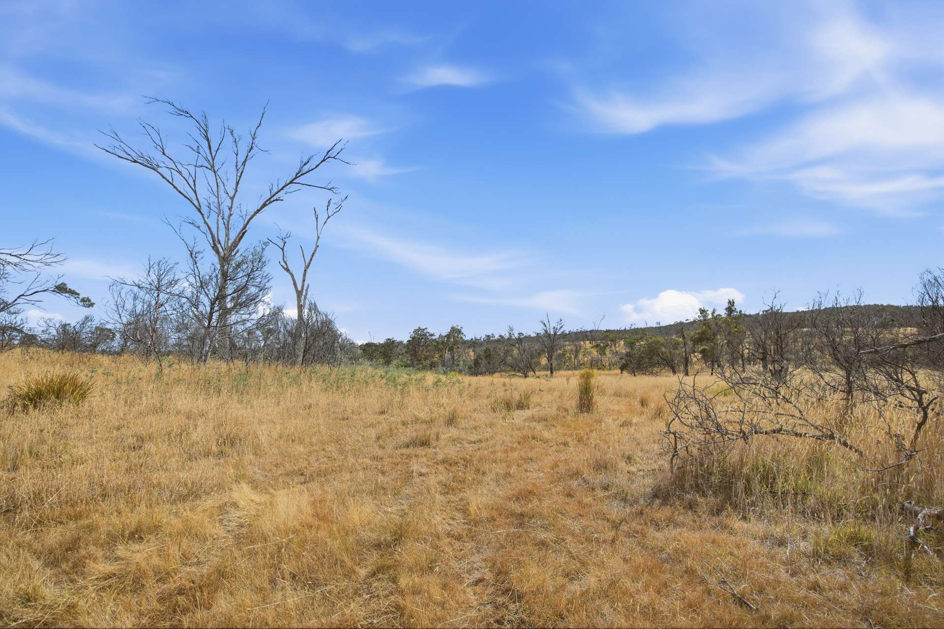 75 Prossers Forest Road, Ravenswood For Sale by Farmbuy.com - image 20