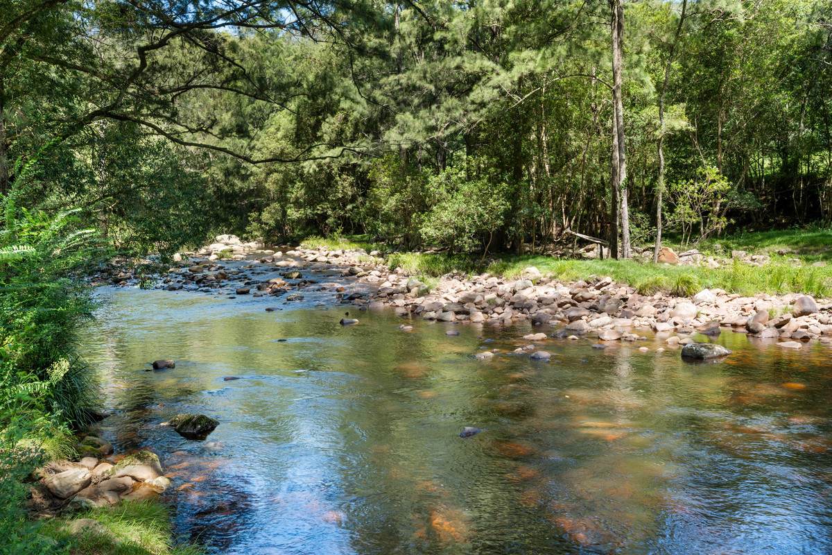 580 Wattamolla Road, Wattamolla For Sale by Farmbuy.com - image 5