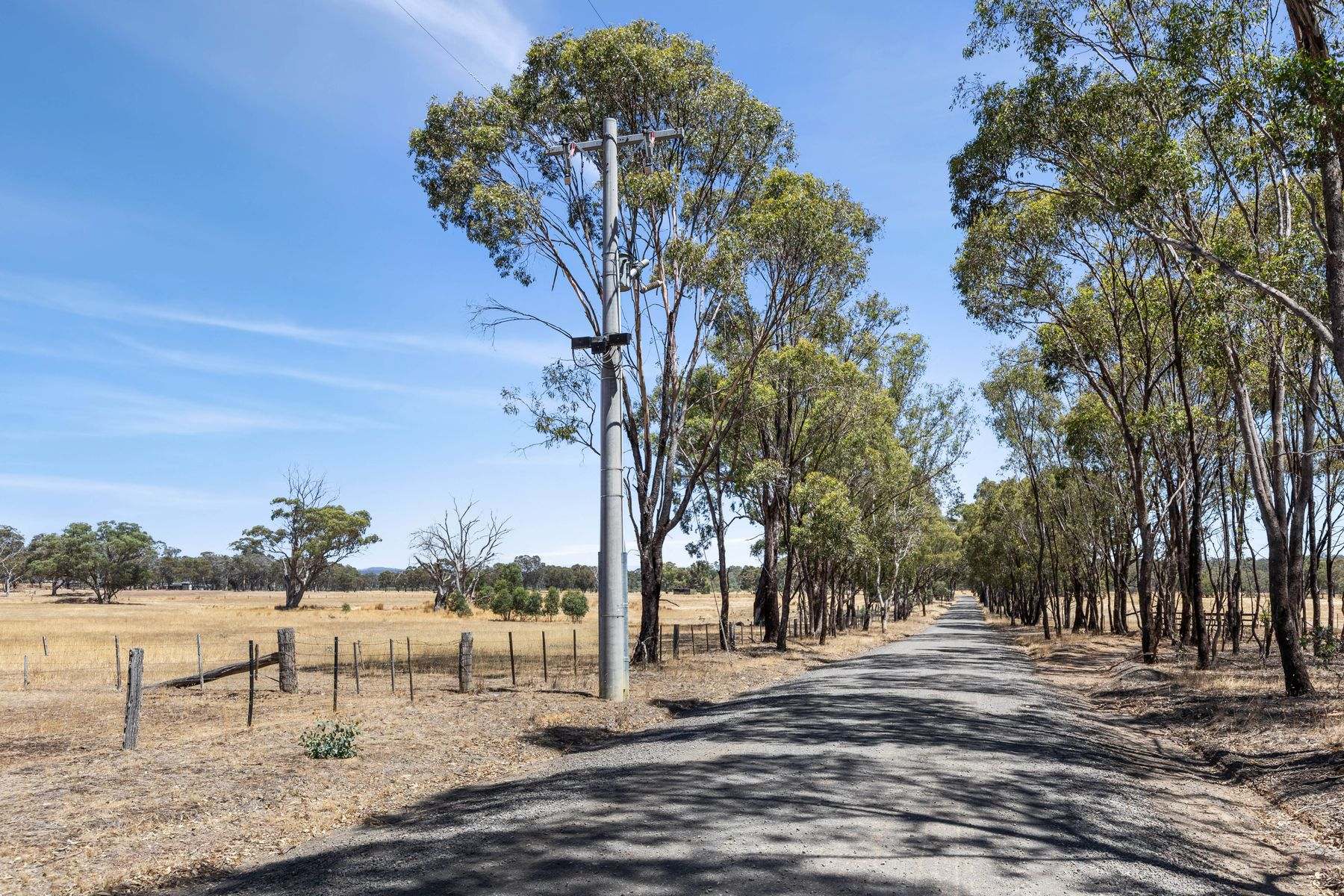 Lot 1 Longlea Lane, Longlea For Sale by Farmbuy.com - image 5