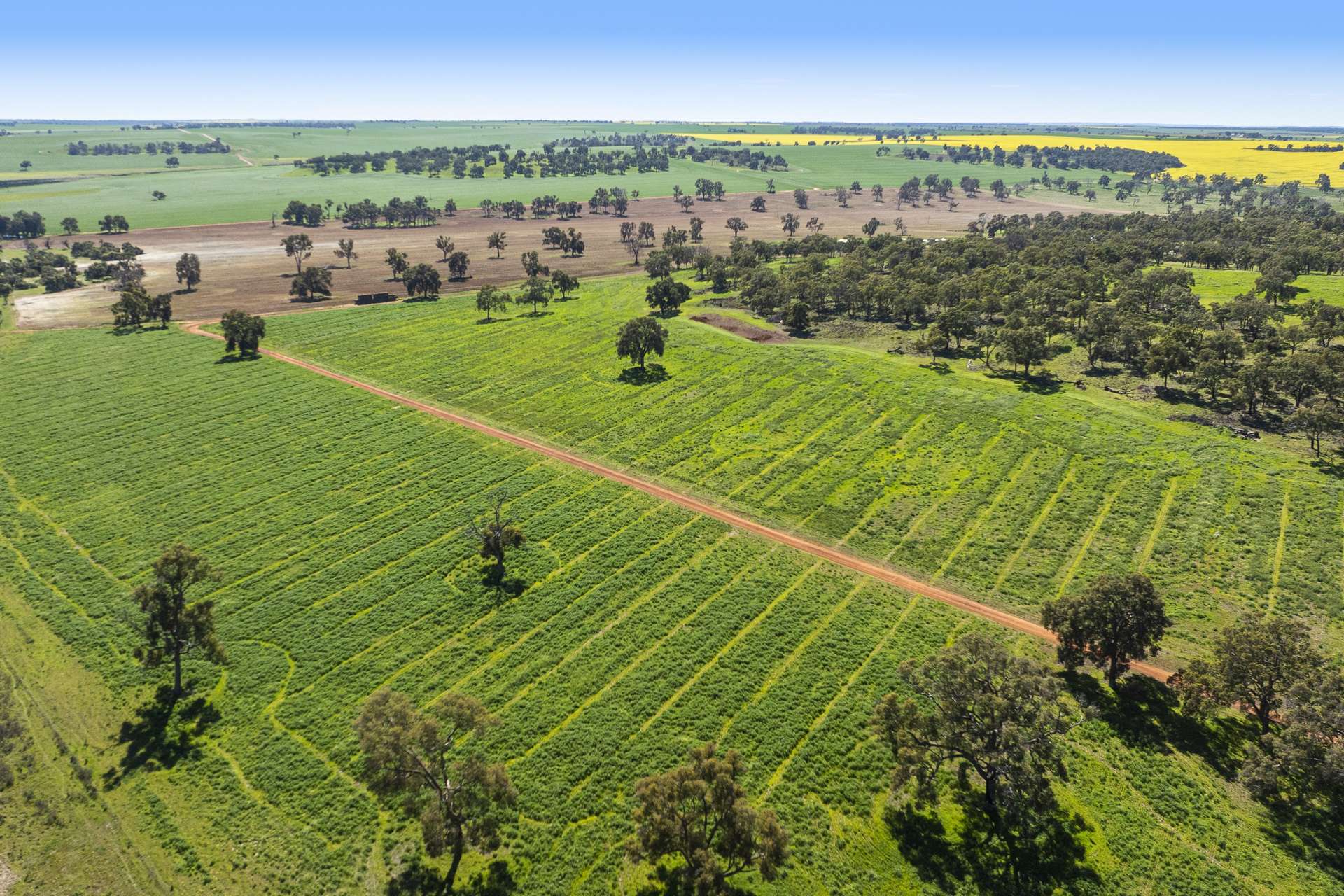 1830 Rowes Road, Dandaragan For Sale by Farmbuy.com - image 3