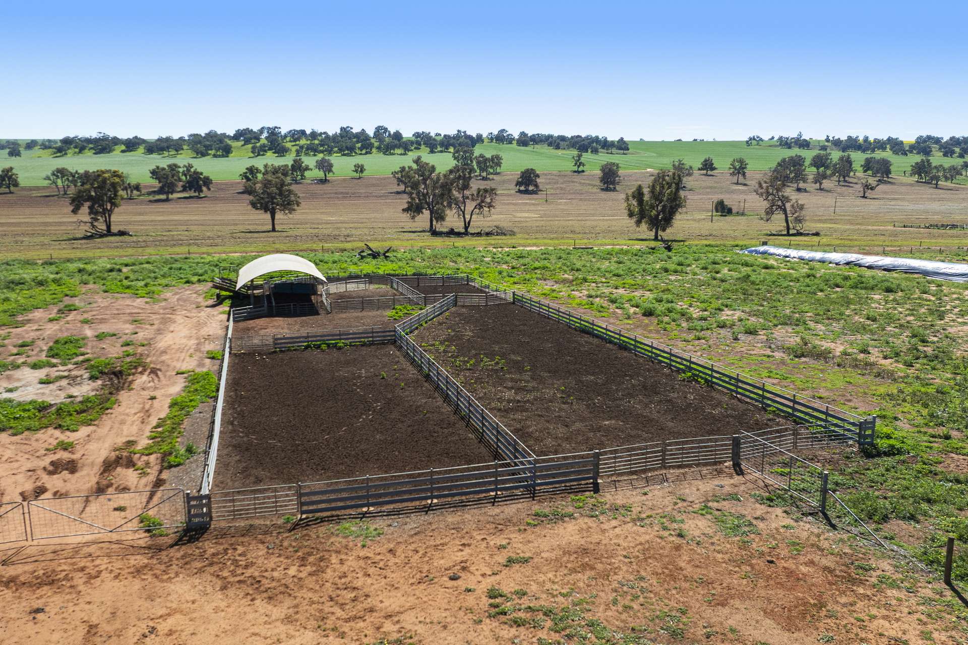 1830 Rowes Road, Dandaragan For Sale by Farmbuy.com - image 17