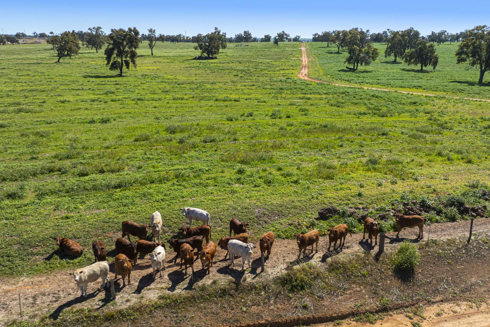 1830 Rowes Road, Dandaragan For Sale by Farmbuy.com - image 25