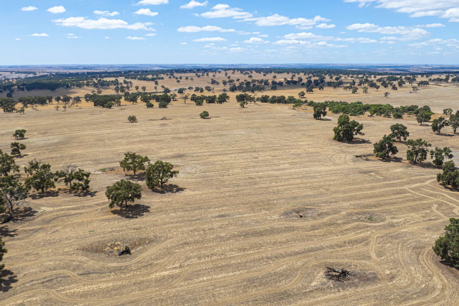 1830 Rowes Road, Dandaragan For Sale by Farmbuy.com - image 27