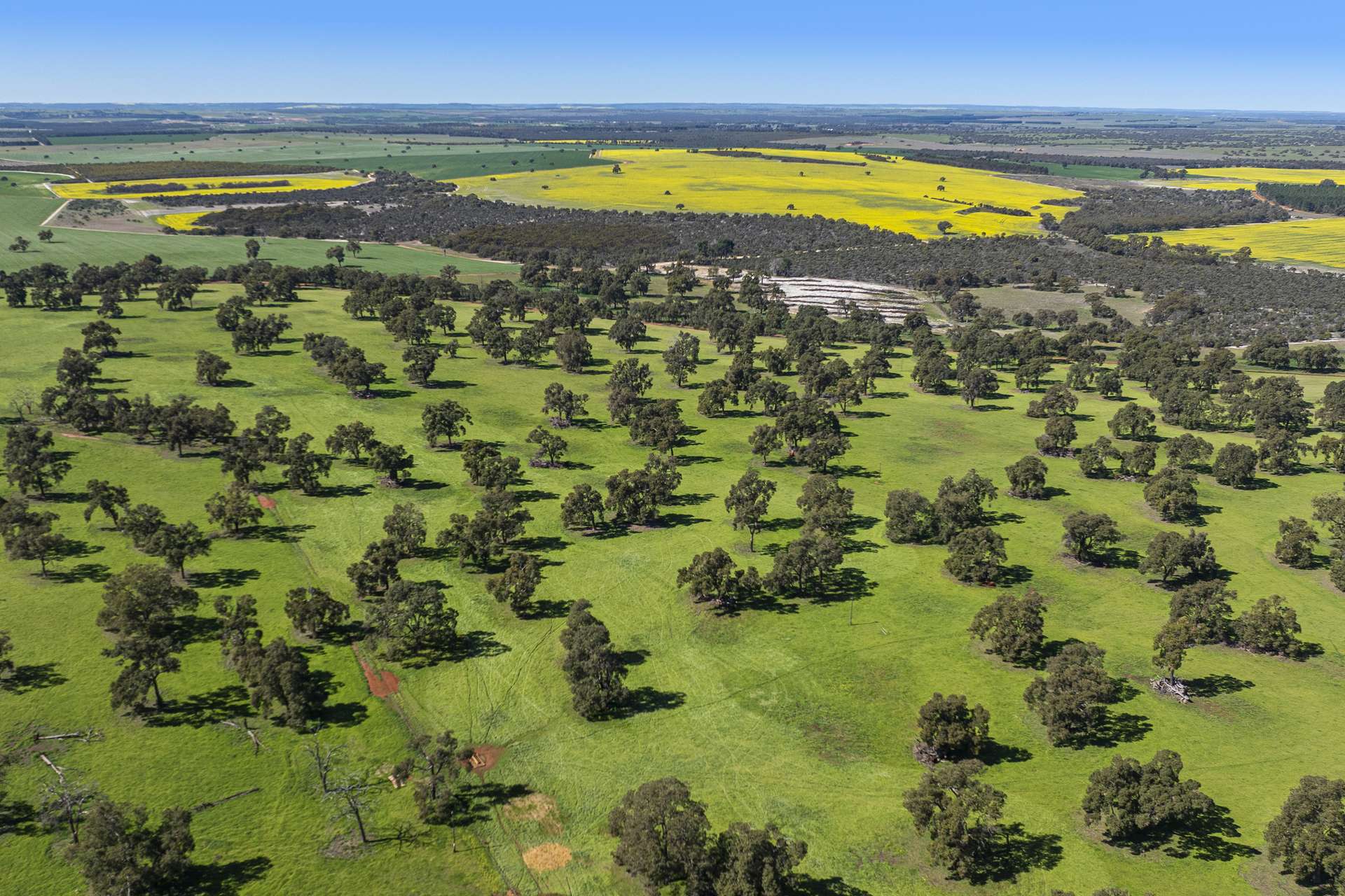 1830 Rowes Road, Dandaragan For Sale by Farmbuy.com - image 24