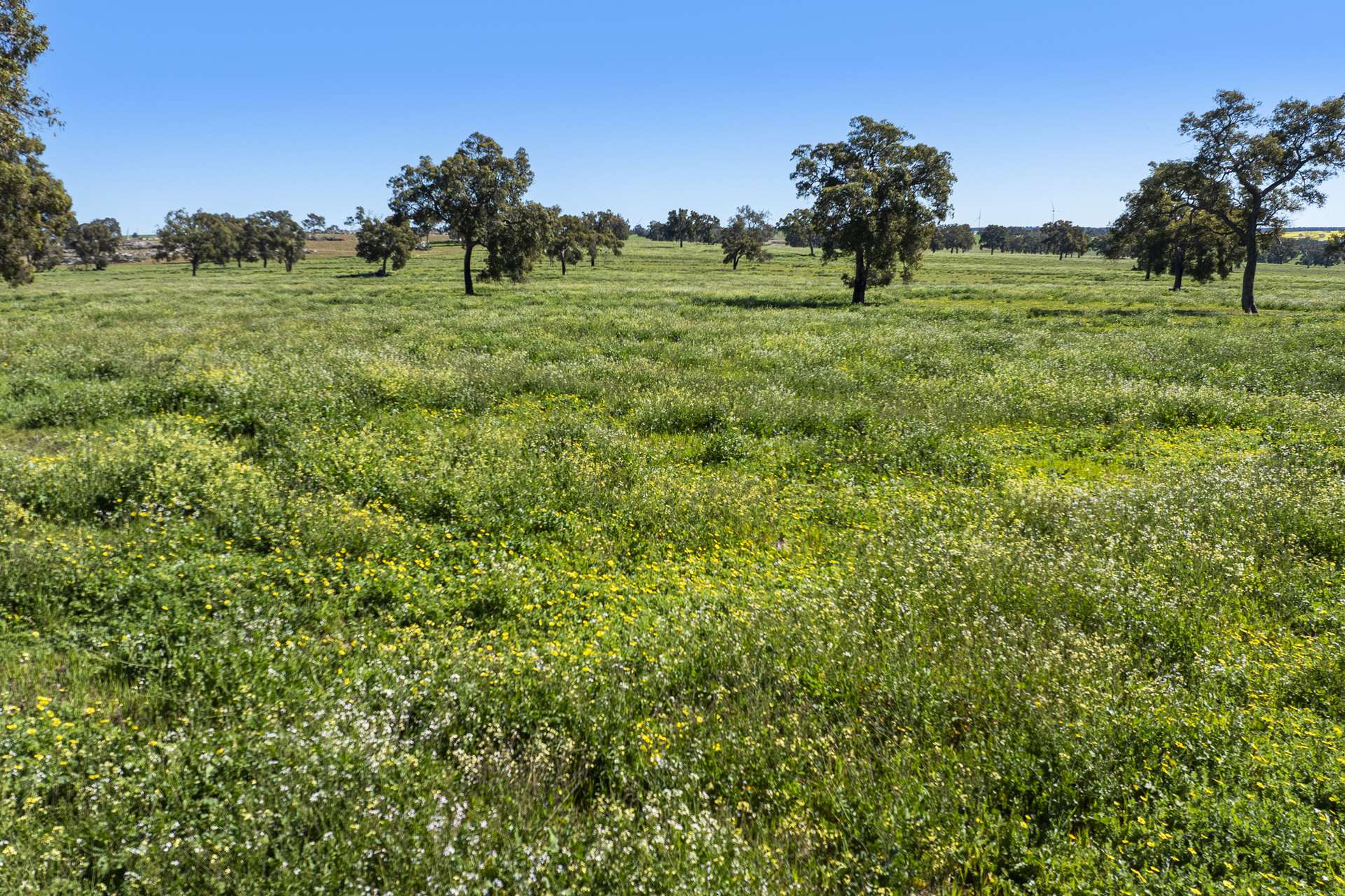 1830 Rowes Road, Dandaragan For Sale by Farmbuy.com - image 28