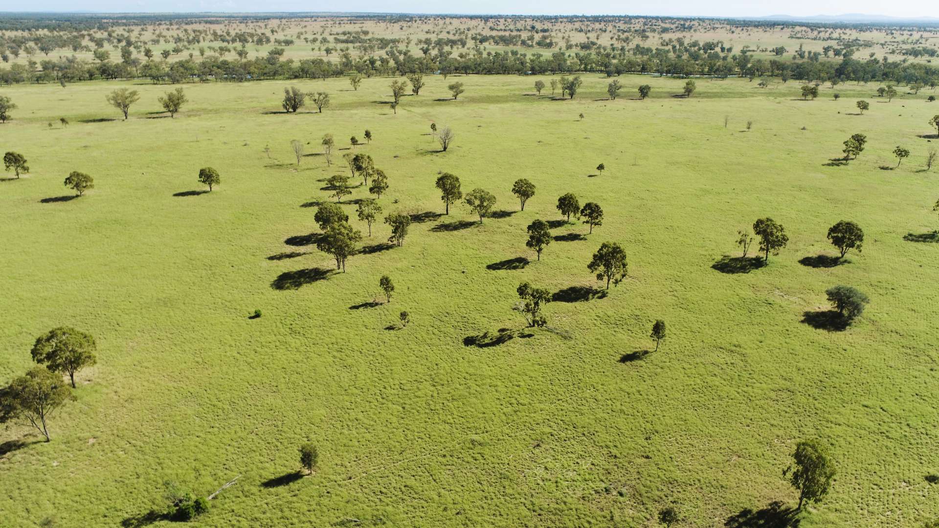 'Glencoe' 28547 Carnarvon Highway, Roma For Sale by Farmbuy.com - image 15