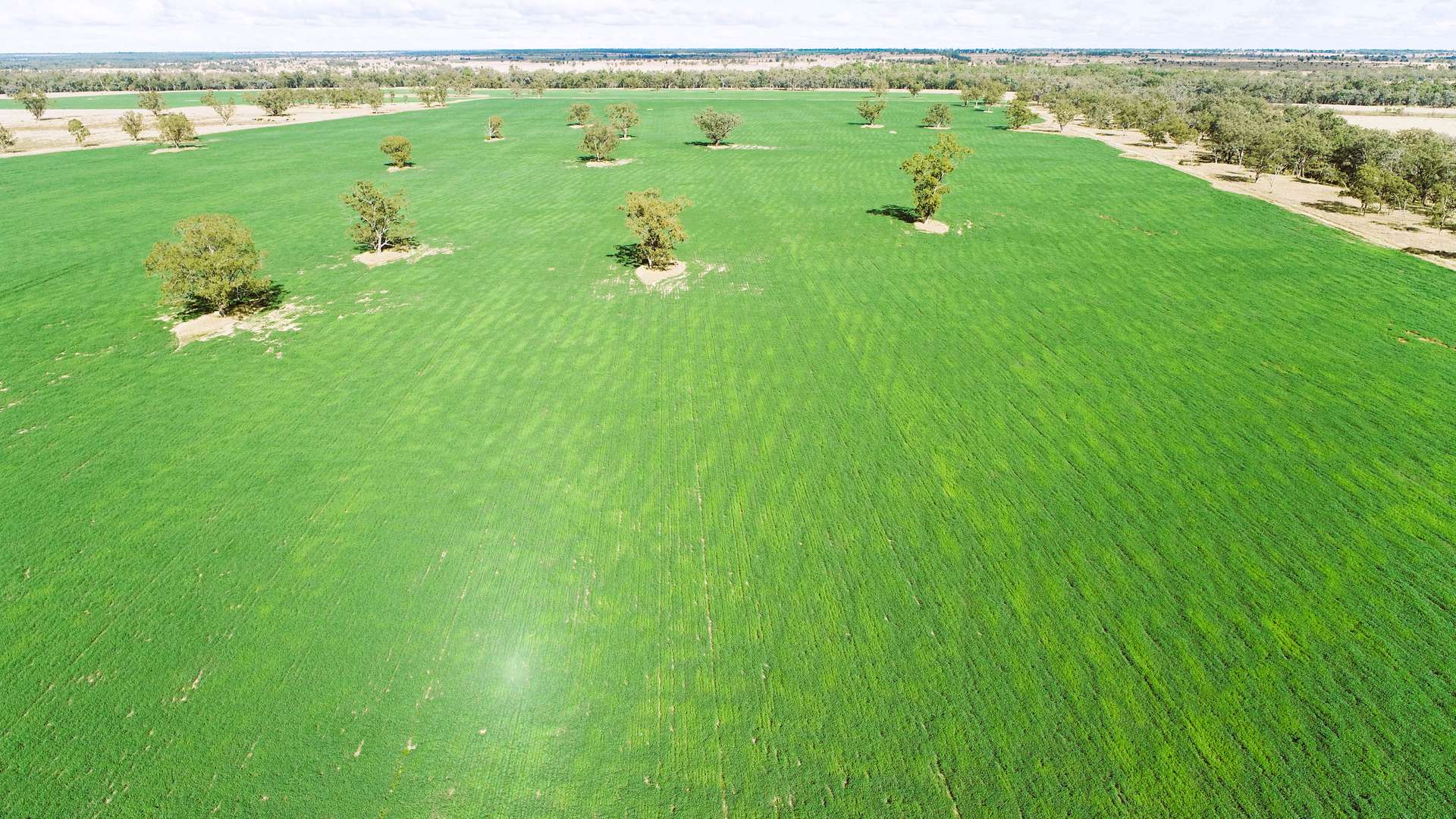 'Glencoe' 28547 Carnarvon Highway, Roma For Sale by Farmbuy.com - image 9