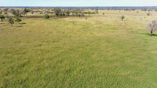'Glencoe' 28547 Carnarvon Highway, Roma QLD 4455