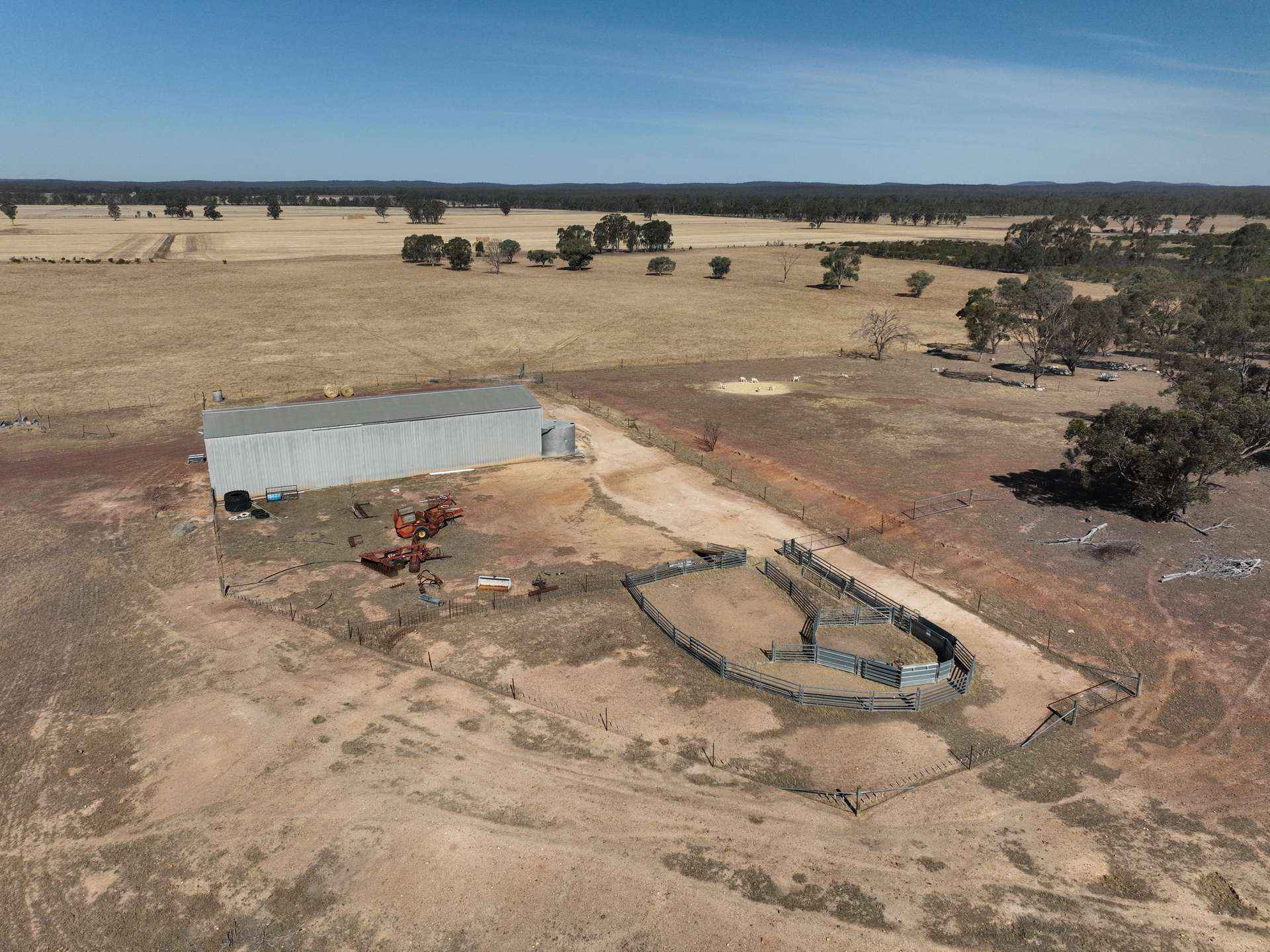 Lot 1,  Raglus Road, Gobarup For Sale by Farmbuy.com - image 4