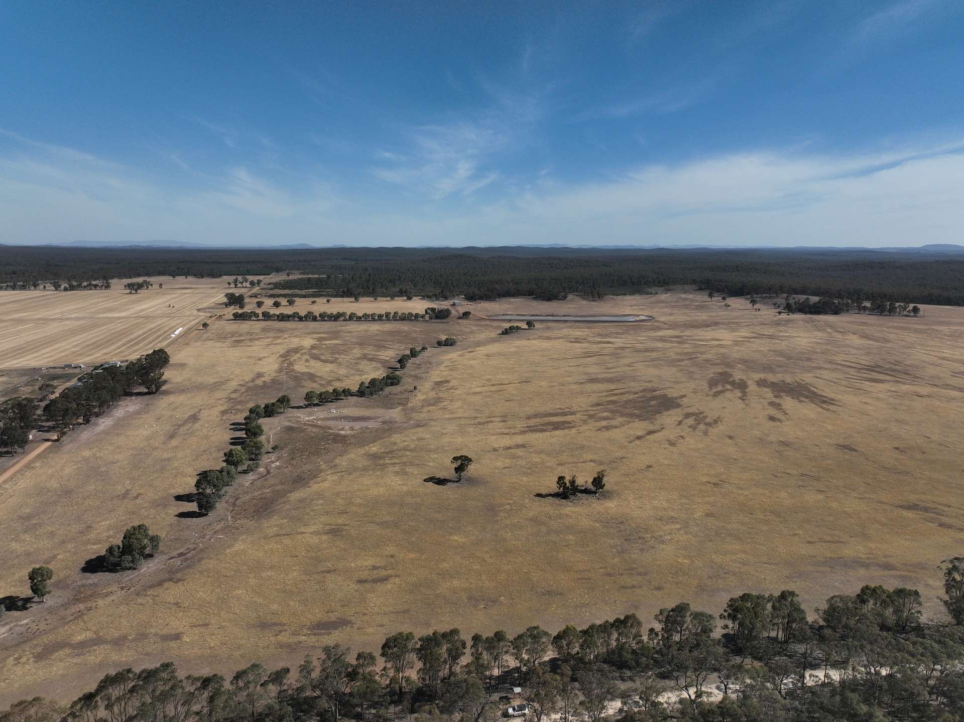 Lot 1,  Raglus Road, Gobarup For Sale by Farmbuy.com - image 13