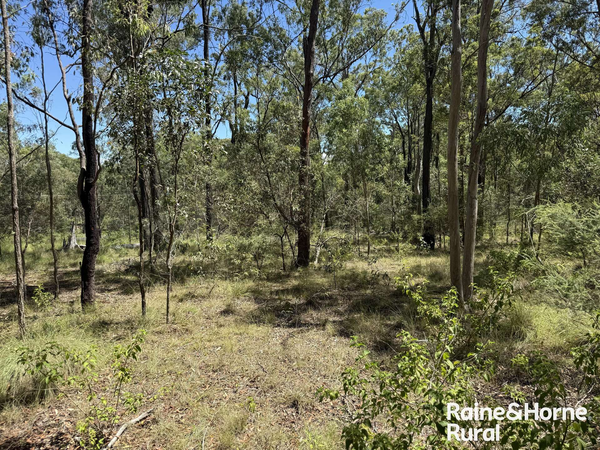 Lot Brocklehurst Road, Wattle Camp For Sale by Farmbuy.com - image 11