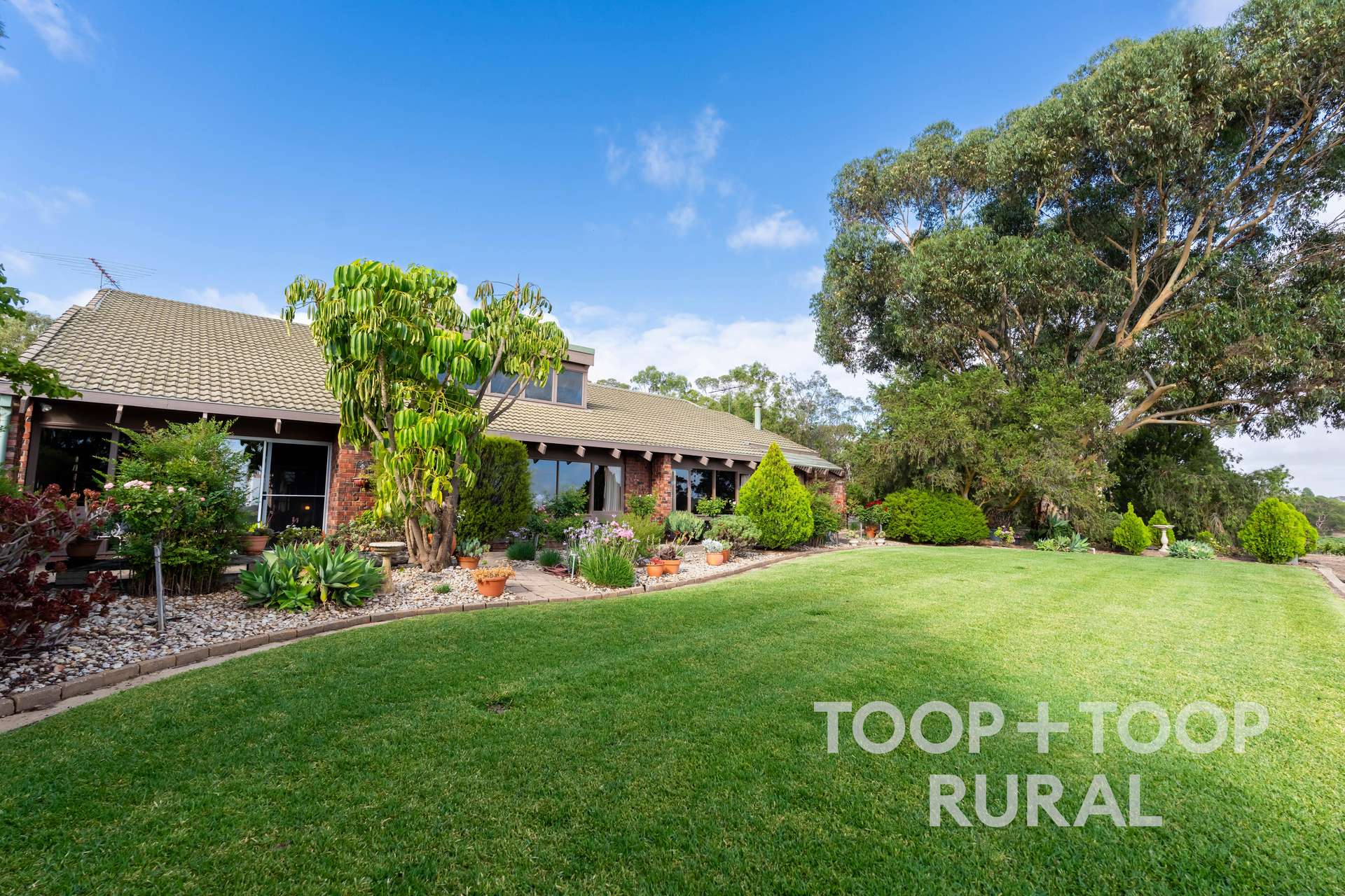 145 Tolley Road, Nuriootpa For Sale by Farmbuy.com - image 4