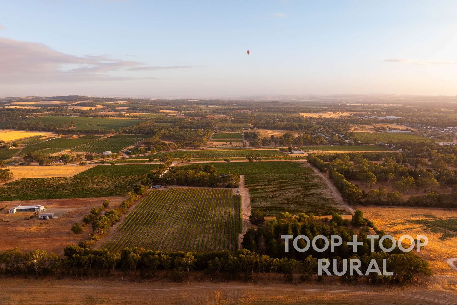 145 Tolley Road, Nuriootpa For Sale by Farmbuy.com - image 5