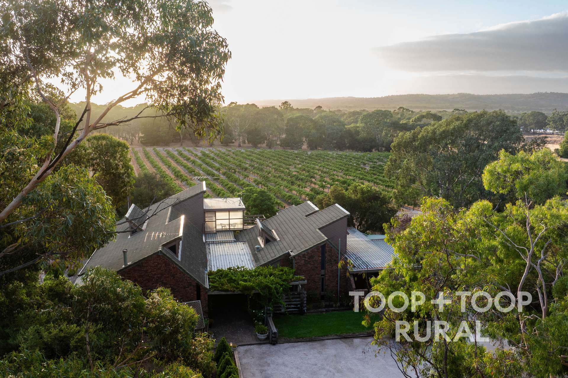145 Tolley Road, Nuriootpa For Sale by Farmbuy.com - image 29
