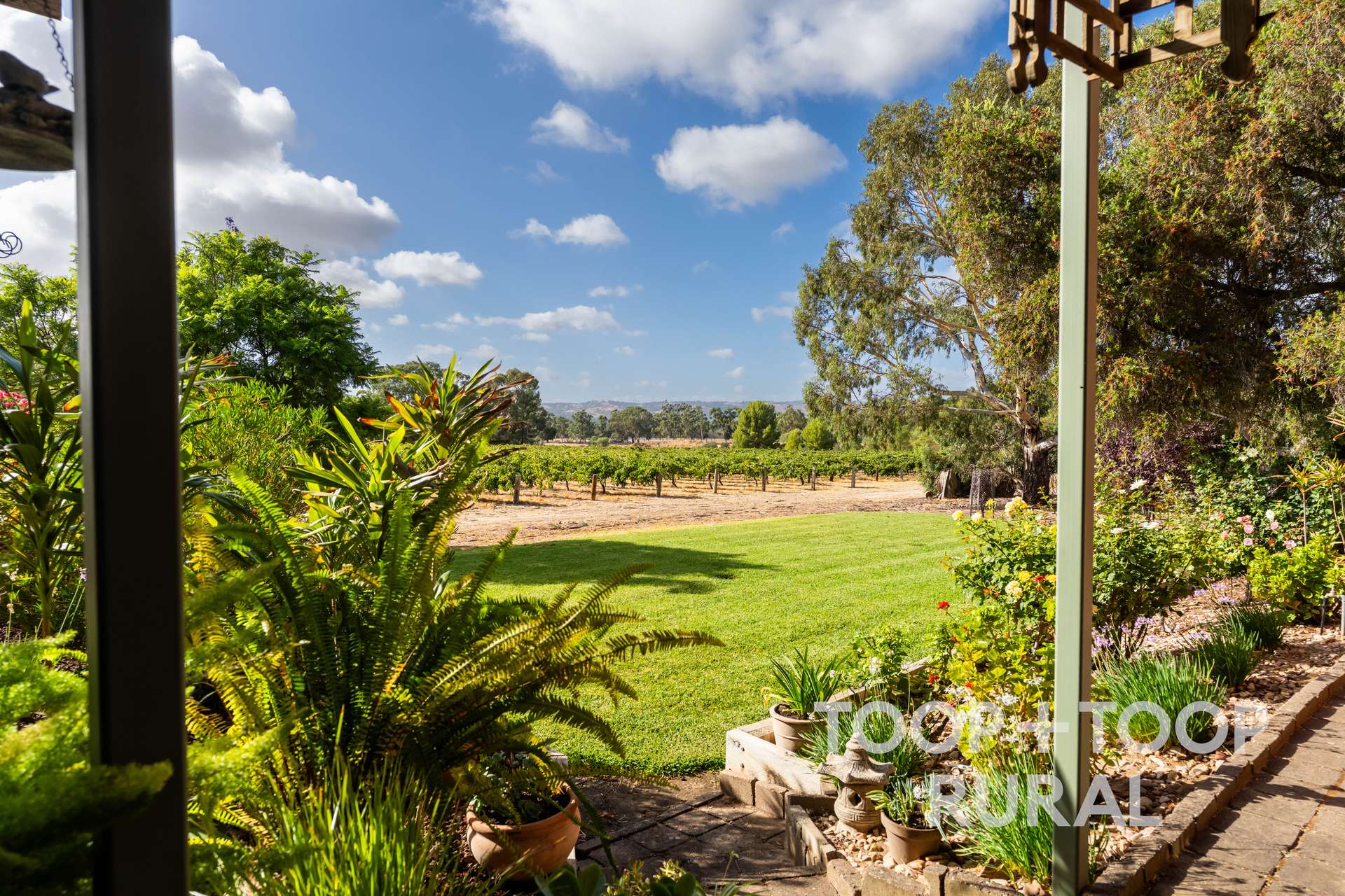 145 Tolley Road, Nuriootpa For Sale by Farmbuy.com - image 31