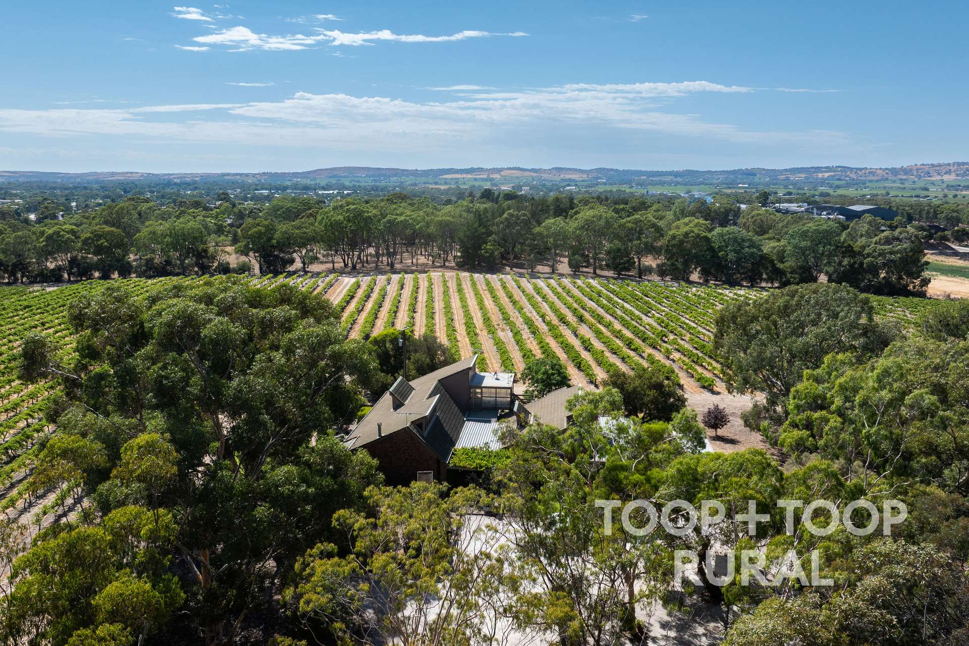 145 Tolley Road, Nuriootpa For Sale by Farmbuy.com - image 30
