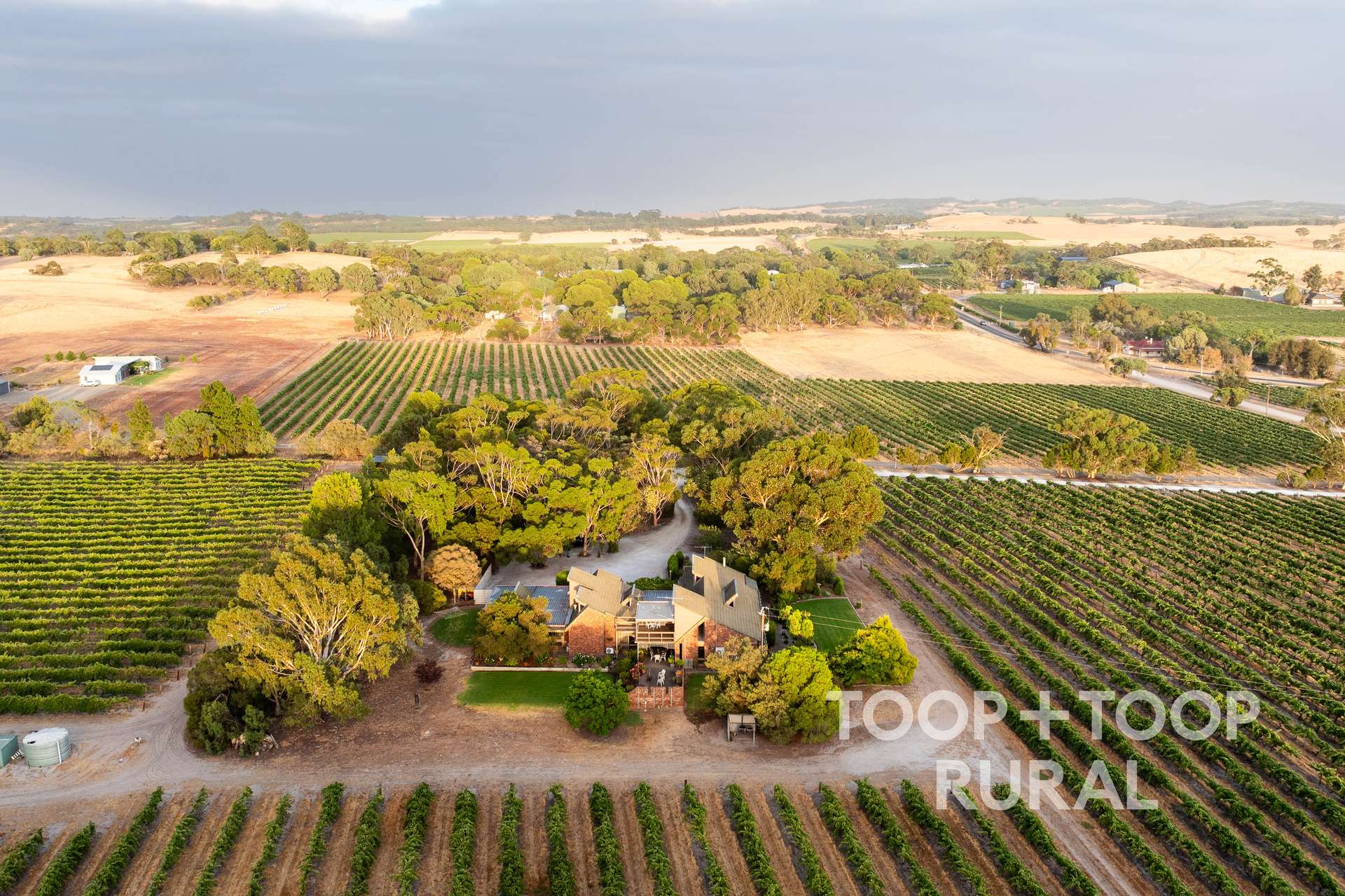 145 Tolley Road, Nuriootpa For Sale by Farmbuy.com - image 1