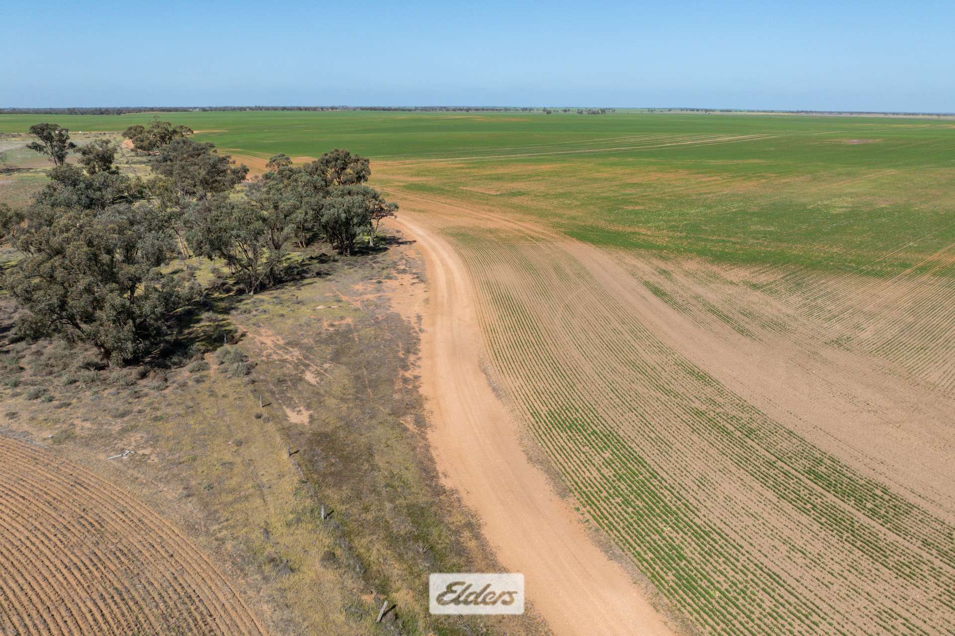 1319 Yanga Way, Kyalite For Sale by Farmbuy.com - image 34