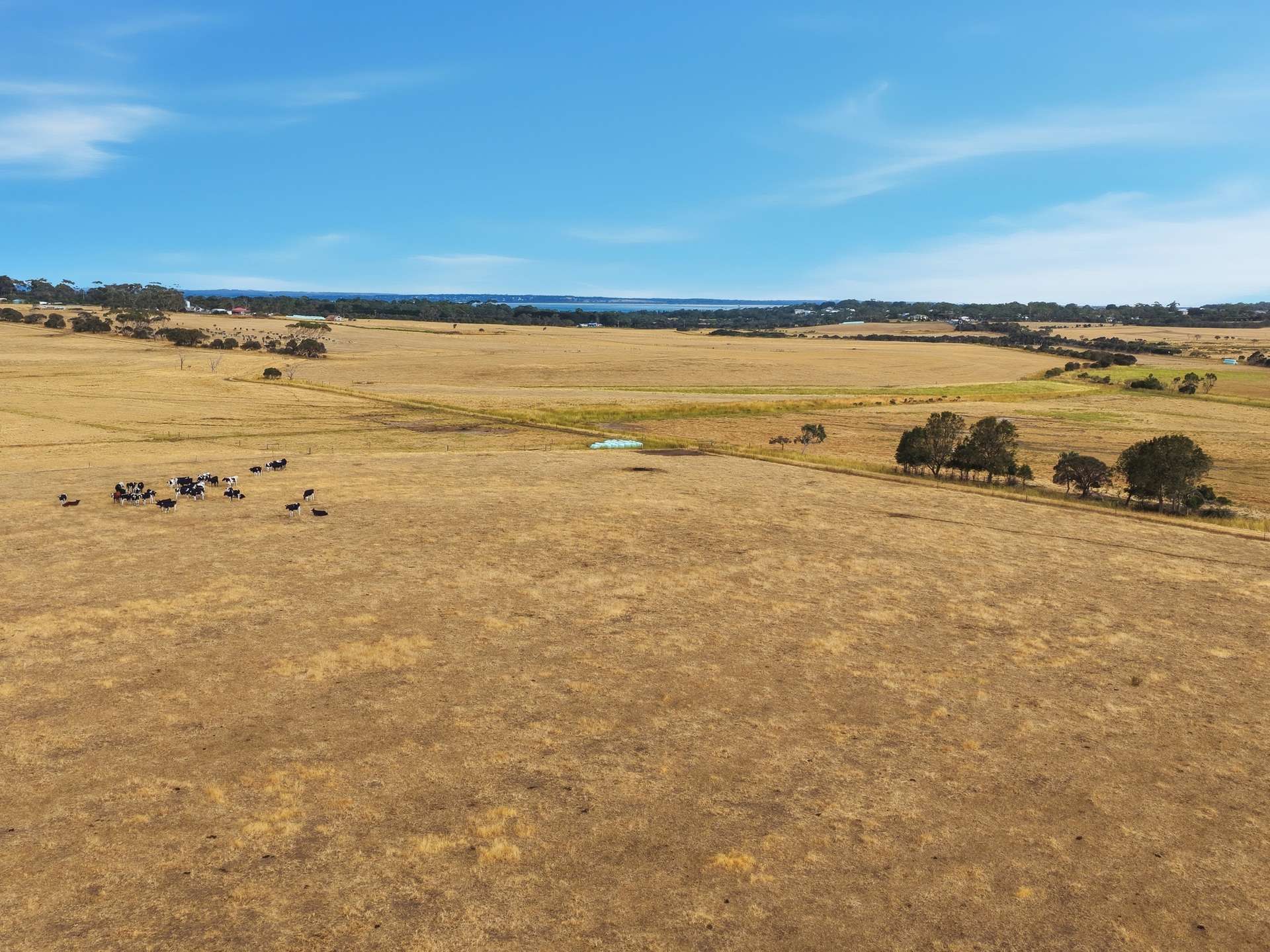 3/445 Ventnor Road, Ventnor For Sale by Farmbuy.com - image 10