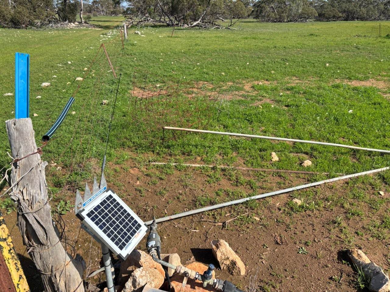 Lot 29 Eyre Highway Road, Poochera For Sale by Farmbuy.com - image 11