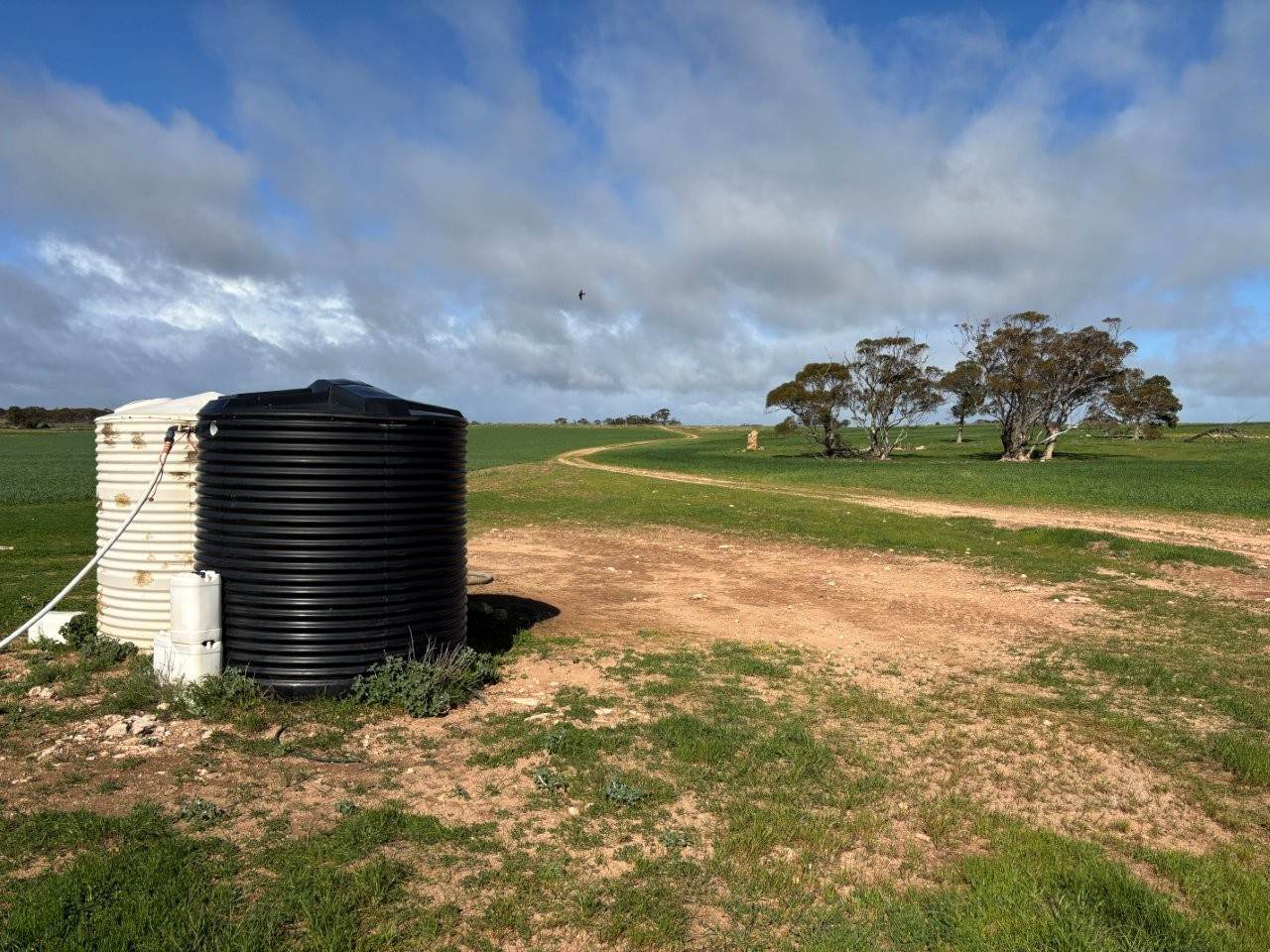 Lot 29 Eyre Highway Road, Poochera For Sale by Farmbuy.com - image 12