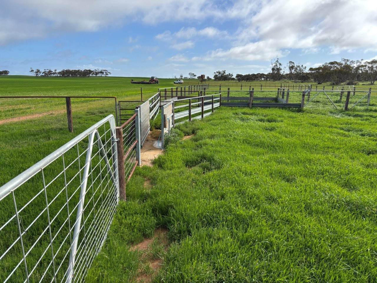 Lot 29 Eyre Highway Road, Poochera For Sale by Farmbuy.com - image 7