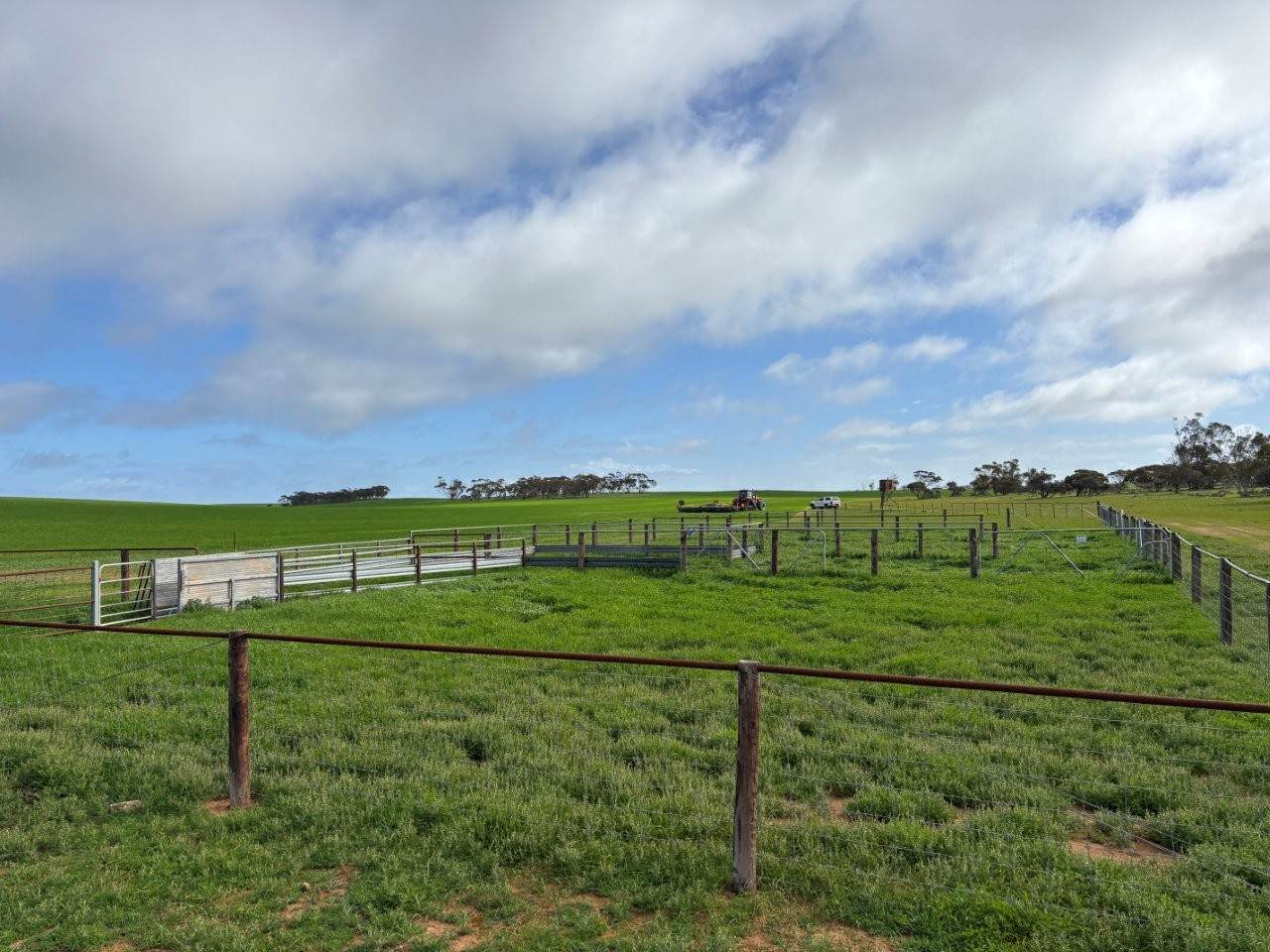 Lot 29 Eyre Highway Road, Poochera For Sale by Farmbuy.com - image 9