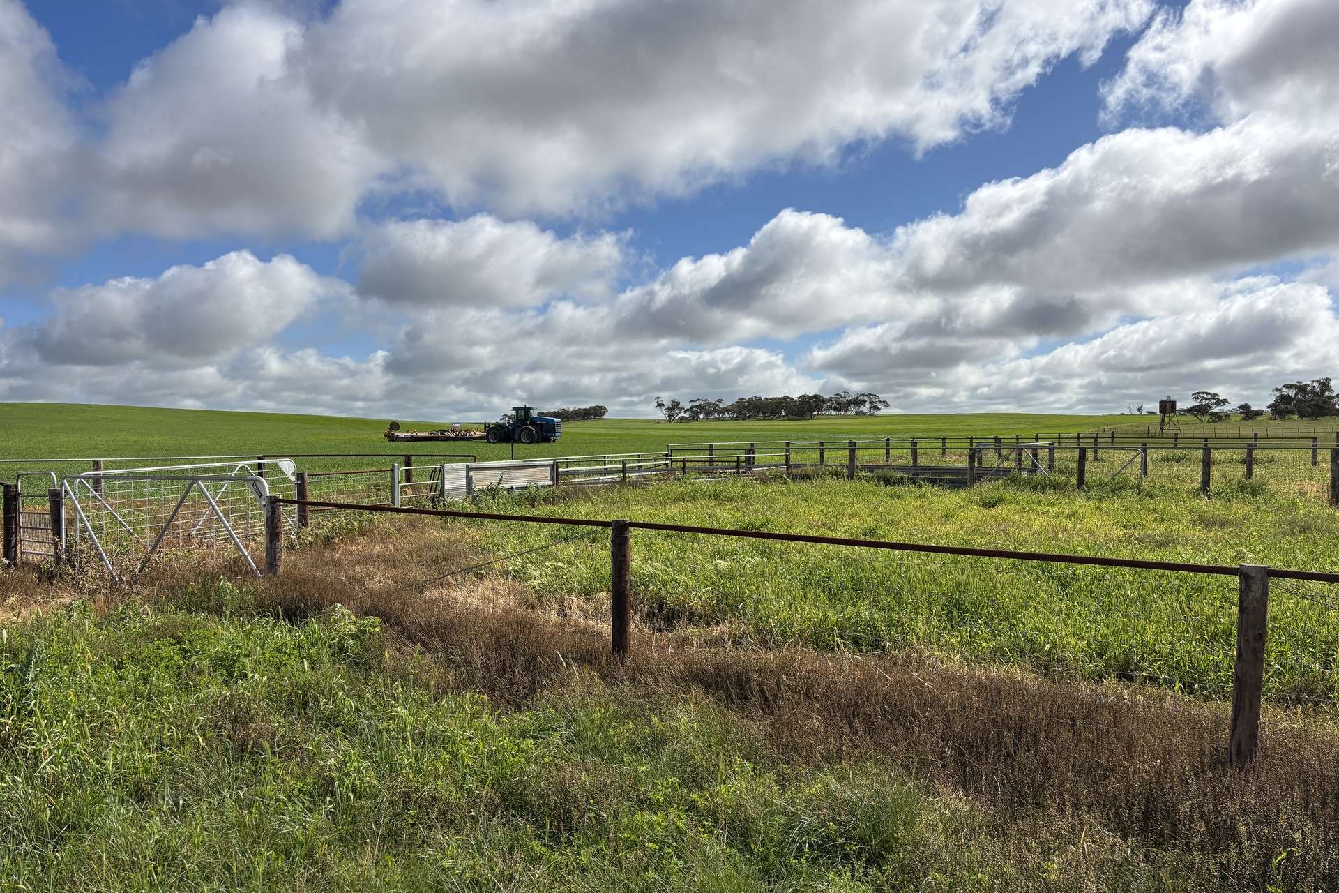 Lot 29 Eyre Highway Road, Poochera For Sale by Farmbuy.com - image 4