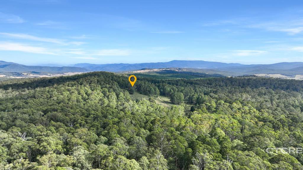 Lot 12F & 12G, 161 Minchins Track, Bonang VIC 3888
