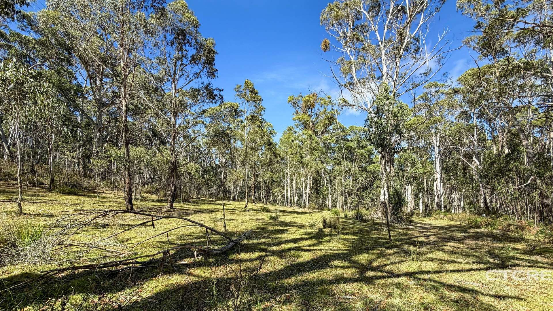Lot 12F & 12G, 161 Minchins Track, Bonang For Sale by Farmbuy.com - image 11