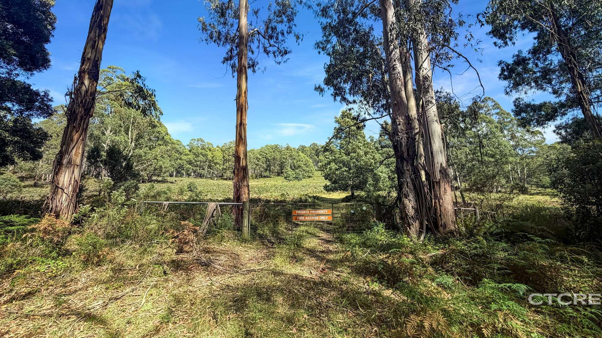 Lot 12F & 12G, 161 Minchins Track, Bonang For Sale by Farmbuy.com - image 17