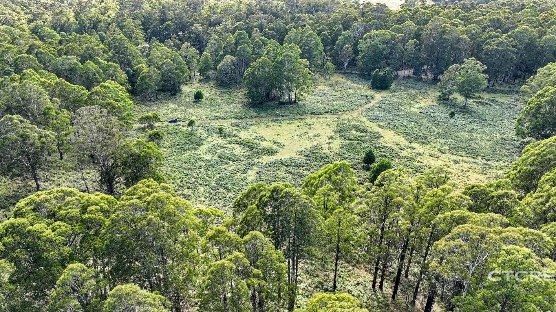 Lot 12F & 12G, 161 Minchins Track, Bonang For Sale by Farmbuy.com - image 7