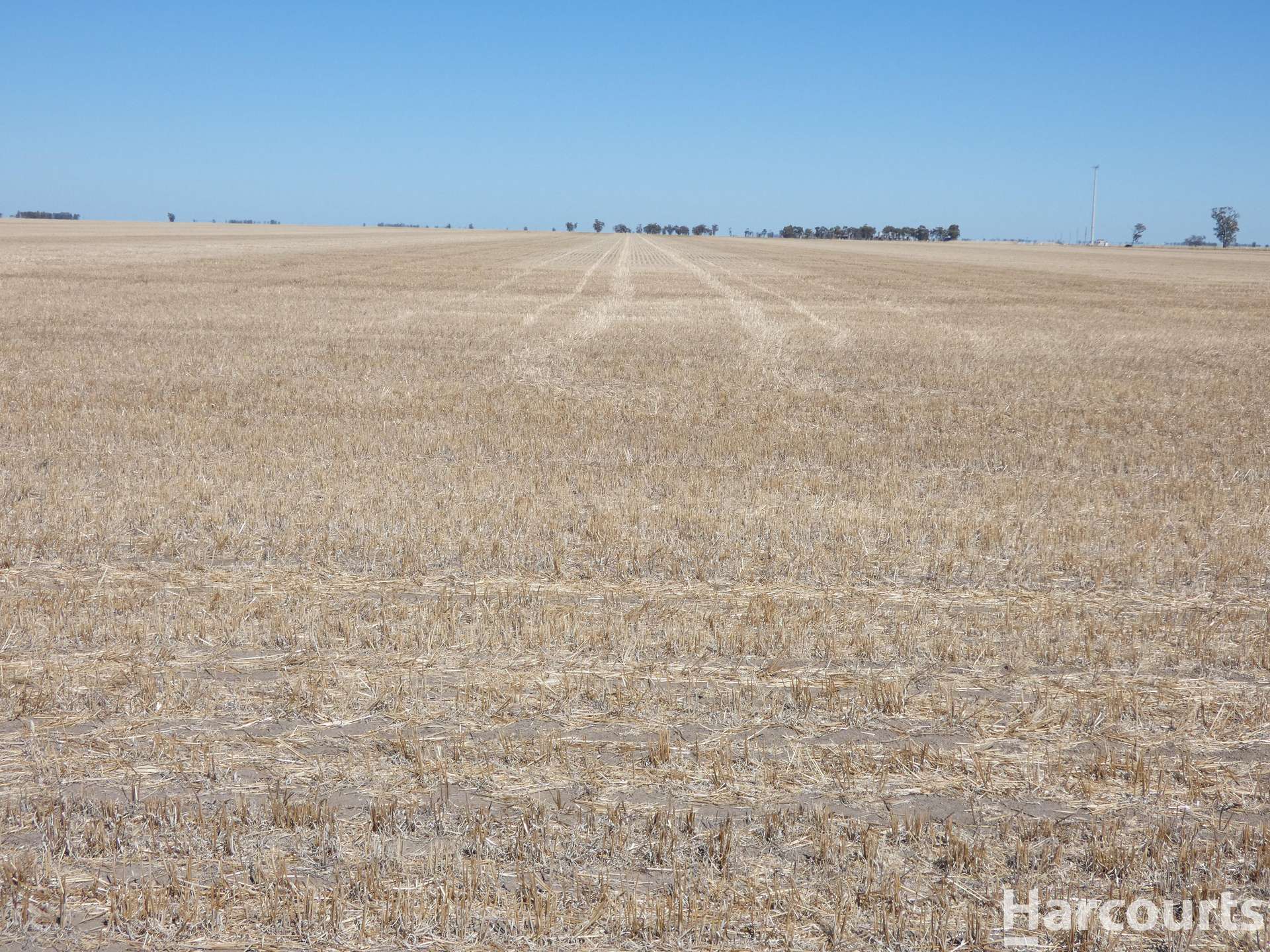 . Dimboola-Minyip Rd, Murra Warra For Sale by Farmbuy.com - image 10