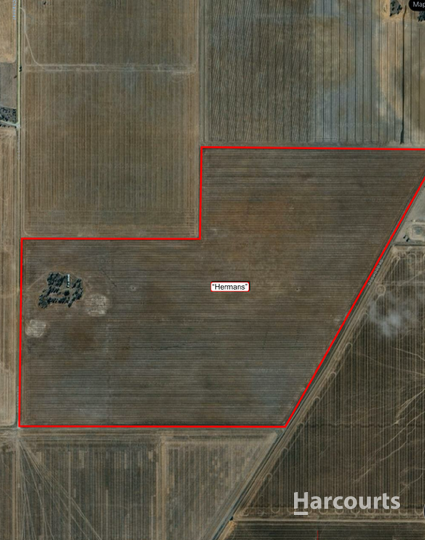 . Dimboola-Minyip Rd, Murra Warra For Sale by Farmbuy.com - image 15