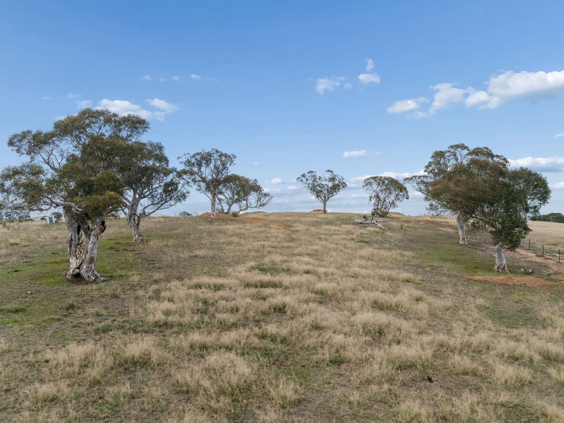 124 Corrinyah Road, Goulburn For Sale by Farmbuy.com - image 25