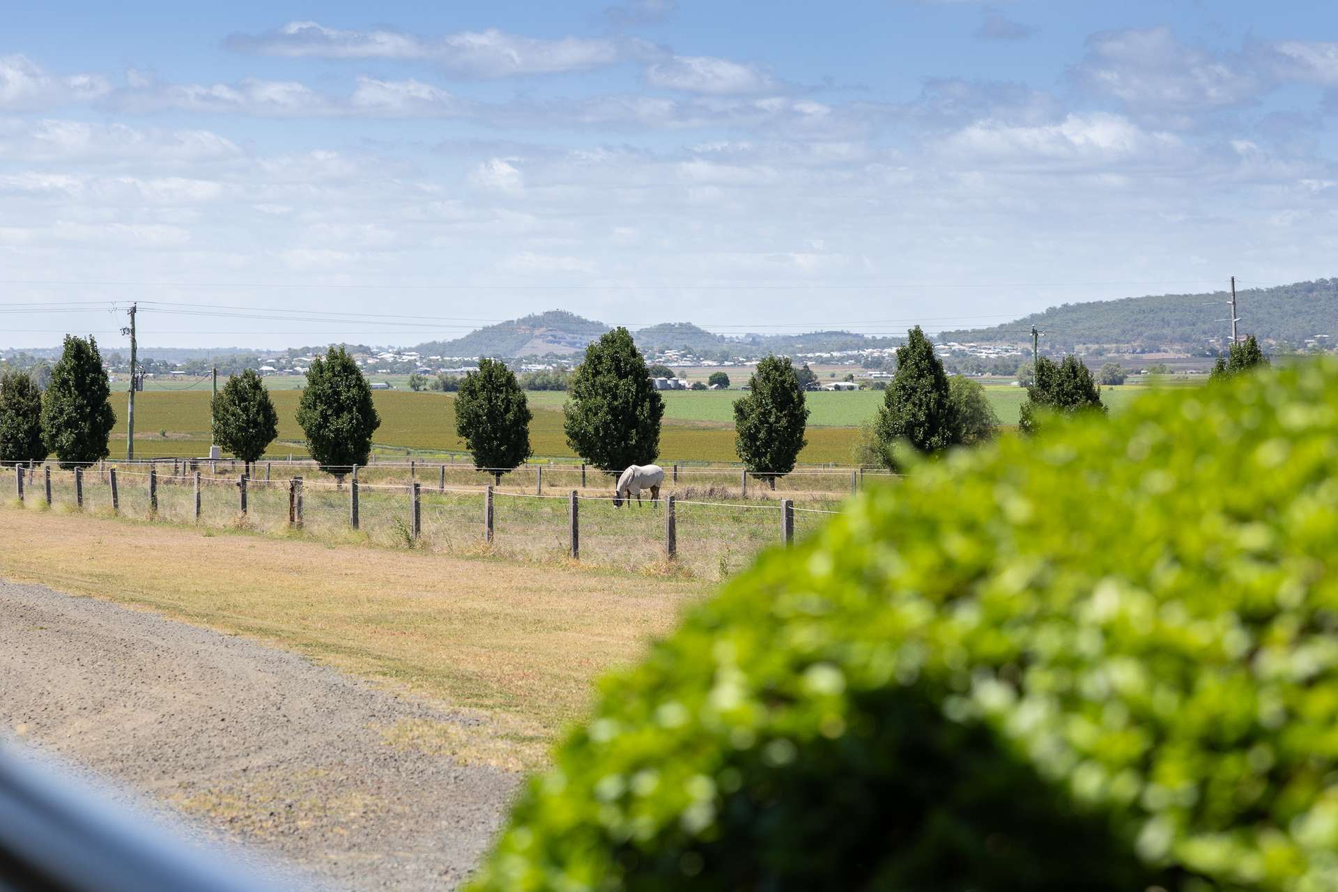 "Haystack Ridge" 139 Umbiram Road, Wyreema For Sale by Farmbuy.com - image 10