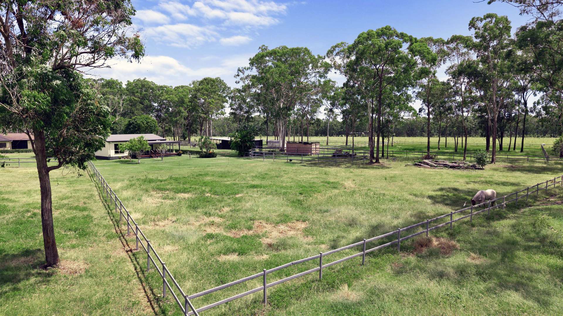 796 Torbanlea - Pialba Road, Takura For Sale by Farmbuy.com - image 33